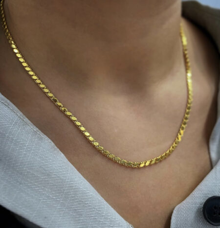 Pul chain